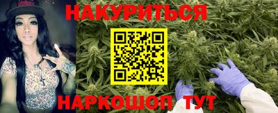 шишки Пыть-Ях