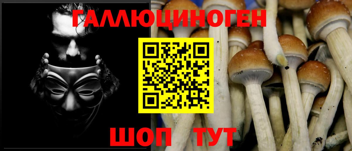 Псилоцибиновые грибы Psilocybe  Вход с VPN  Сердобск  Псилоцибиновые грибы Psilocybine cubensis 